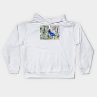 Brilliant Blue Bird The Stellar's Jay Kids Hoodie